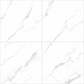 Porcelain Tile 800x800mm-Calacatta Gold Gloss